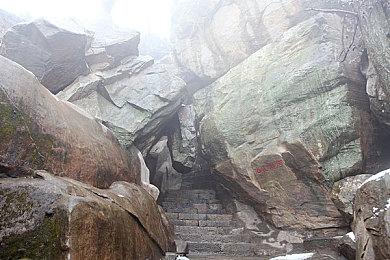 《马里奥赛车8：豪华版》更新上线 多处修正调整